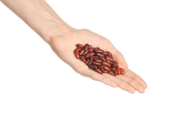 Groats and meal preparation topic: human hand holding a pile of dry red beans isolated on a white background in studio — Stock Photo, Image