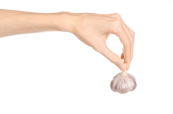 Spice and cooking theme: man's hand holding a dry garlic isolated on a white background in studio — Φωτογραφία Αρχείου