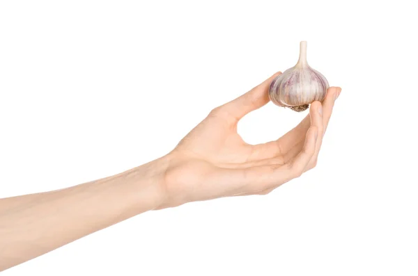 Spice and cooking theme: man's hand holding a dry garlic isolated on a white background in studio — Φωτογραφία Αρχείου