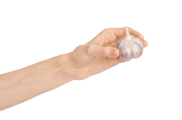 Spice and cooking theme: man 's hand holding a dry garlic isolated on a white background in studio — стоковое фото