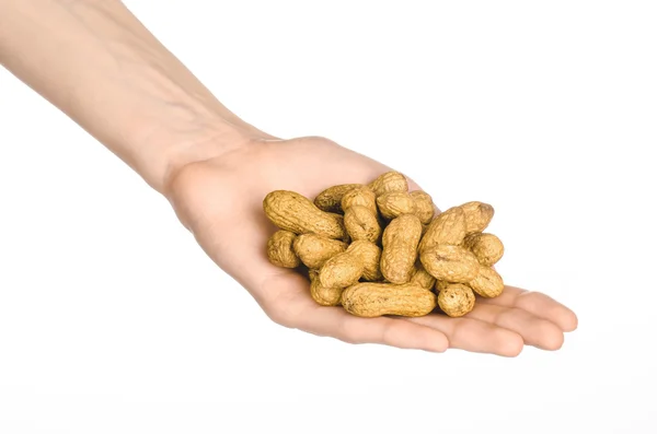 Nuts and cooking theme: man's hand holding a peanut in shell isolated on white background in studio — Stock fotografie