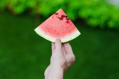 Yaz ve taze karpuz Tema: bir adam bir dilim karpuz yeşil bir arka plan üzerinde tutar.