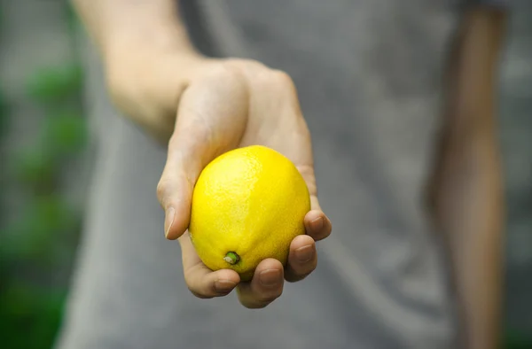 Vegetarianos e frutas e legumes frescos sobre a natureza do tema: mão humana segurando um limão em um fundo de grama verde — Fotografia de Stock