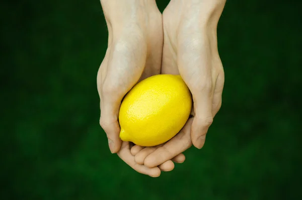 菜食主義者および新鮮な果物や野菜テーマの性質上: 緑の草上面の背景にレモンを保持している人間の手 — ストック写真