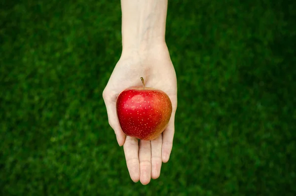 Vegetarians and fresh fruit and vegetables on the nature of the theme: human hand holding a red apple on a background of green grass top view — Stock Photo, Image