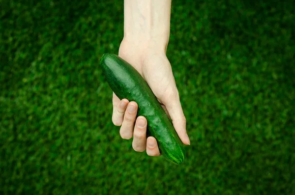 Vegetarianos e frutas e legumes frescos sobre a natureza do tema: mão humana segurando um pepino em um fundo de grama verde vista superior — Fotografia de Stock