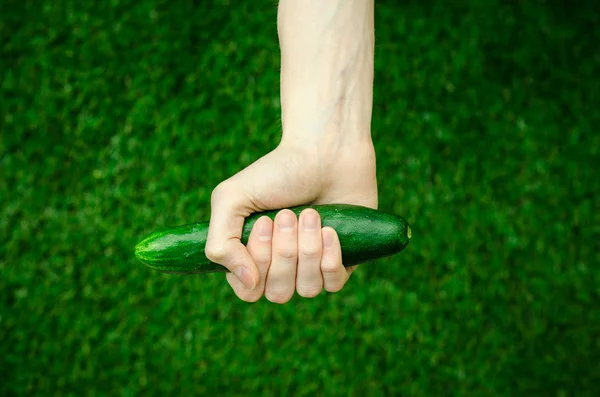 Vegetarians and fresh fruit and vegetables on the nature of the theme: human hand holding a cucumber on a background of green grass top view — Stock Photo, Image