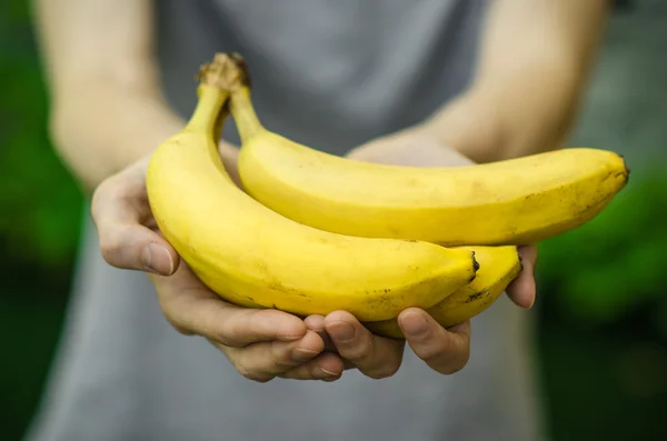 Vegetarianer och färsk frukt och grönsaker på temat natur: mänsklig hand som håller ett gäng bananer på en bakgrund av grönt gräs — Stockfoto