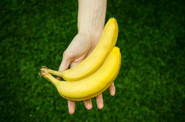 Vegetarians and fresh fruit and vegetables on the nature of the theme: human hand holding a bunch of bananas on a background of green grass top view — Stock Photo, Image