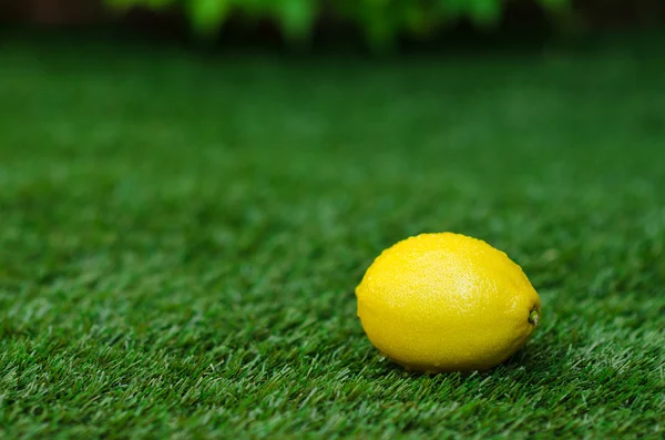 Tema de comida vegetal saudável: limão maduro amarelo está em uma grama verde — Fotografia de Stock