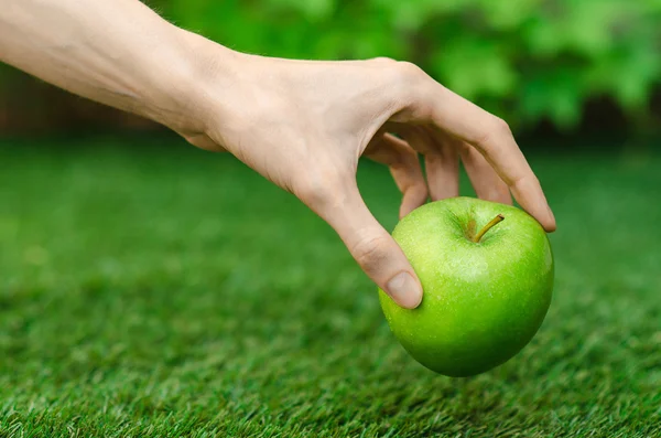 Vegetarians and fresh fruit and vegetables on the nature of the theme: human hand holding a green apple on a background of green grass — Stock Photo, Image