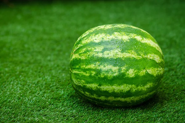 Summer and fresh watermelon theme: beautiful ripe watermelon lying on the grass — Stock Photo, Image