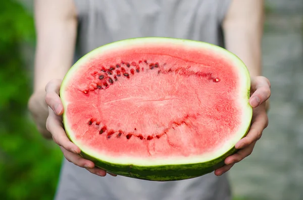 Summer and fresh watermelon theme: a man holds a watermelon on the green background — Stock Photo, Image