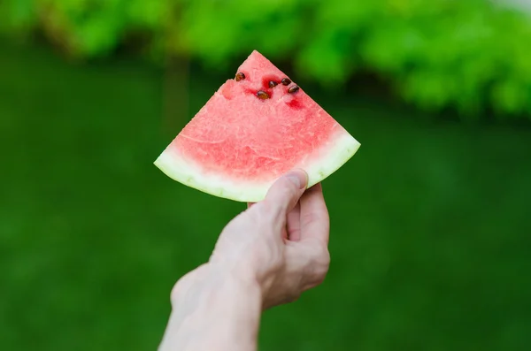 Summer and fresh watermelon theme: a man holds a slice of watermelon on a green background — Stock Photo, Image