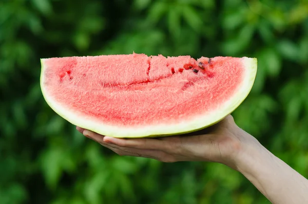 Summer and fresh watermelon theme: a man holds a slice of watermelon on a green background — Stock Photo, Image