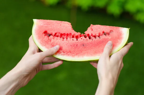 Summer and fresh watermelon theme: a man holds a slice of watermelon on a green background — Stock Photo, Image