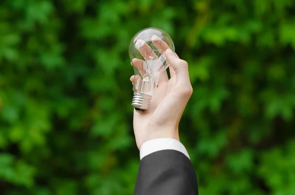 Electricity and business theme: a man in a black suit holding a light bulb against a background of green grass — 图库照片