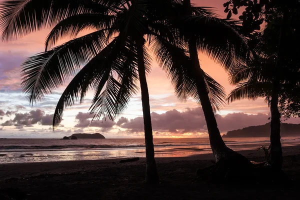 Tropischer Sonnenuntergang — Stockfoto