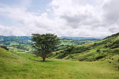 Monteverde üzerinde göster