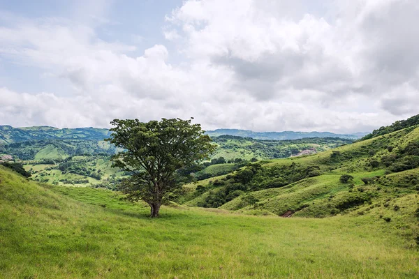 Vista sobre Monteverde — Fotografia de Stock