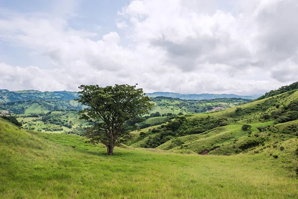 Blick über Monteverde lizenzfreie Stockfotos