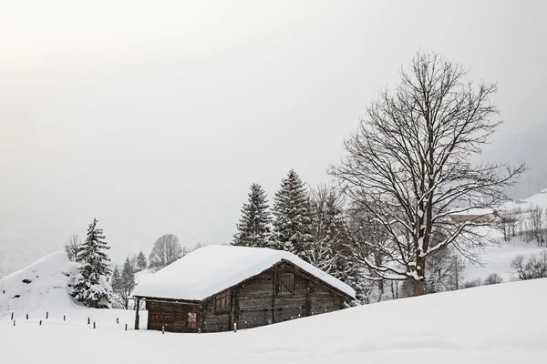 Stodoła na snowy pole — Zdjęcie stockowe