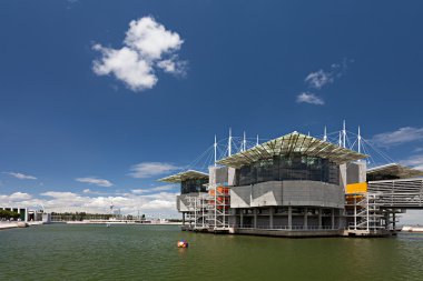 Lisbon Oceanarium