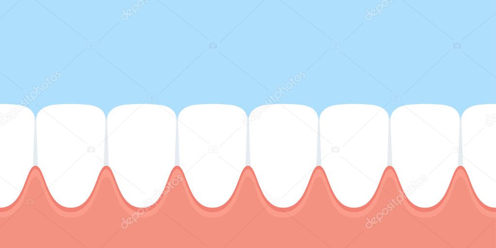 Row teeth and gum in mouth. Dental vector illustration