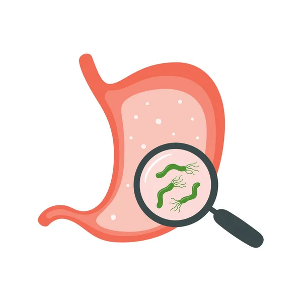 Helicobacter Pylori v žaludku. Nemoci žaludku. Bakterie s flagelou, která způsobuje gastritidu. — Stockový vektor