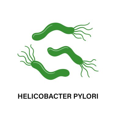 Helicobacter Pylori. Mide hastalıkları. Mide iltihabına neden olan kamçılı bakteri..