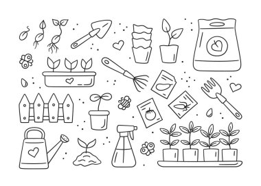 Tohumlar ve fidanlar. Filizlerin filizlenmesi. Ekmek için araç gereç, tencere ve toprak