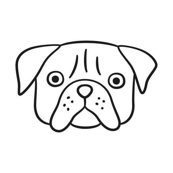 Cara de pug bonito. Ícone de cabeça de cão. Ilustração vetorial isolada desenhada à mão — Vetor de Stock