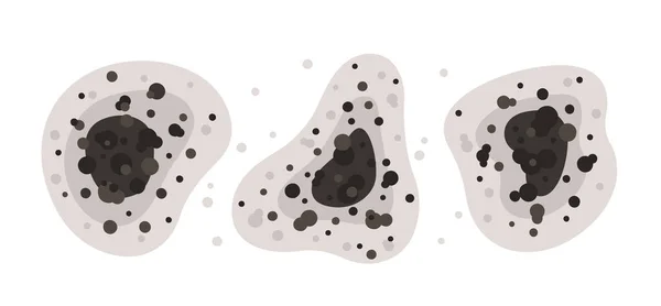 Μαύρα κηλίδες μούχλας διαφορετικών σχημάτων. Σπόροι τοξικής μούχλας. Μύκητες και βακτήρια. Λεκέδες στον τοίχο του σπιτιού. Μεμονωμένη διανυσματική απεικόνιση σε λευκό φόντο — Διανυσματικό Αρχείο