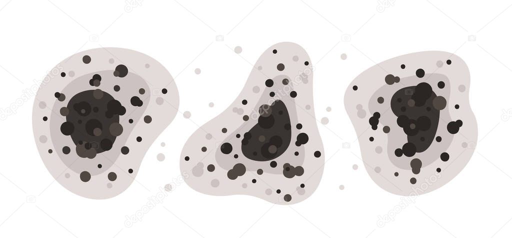 Black mold spots of different shapes. Toxic mold spores. Fungi and bacteria. Stains on the house wall. Isolated vector illustration on white background