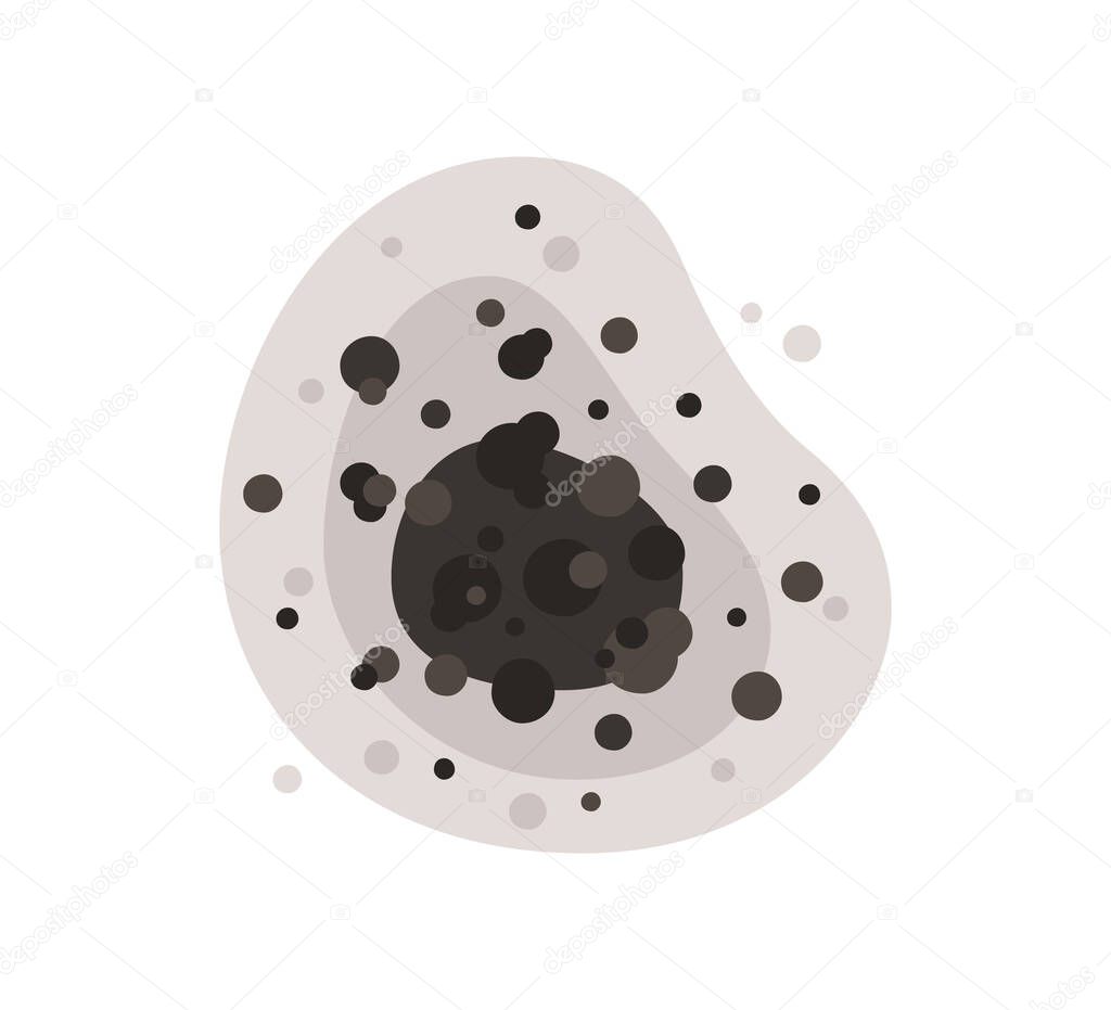 Black mold spot. Toxic mold spores. Fungi and bacteria. Tooth decay. Stain on the house wall. Isolated vector illustration on white background