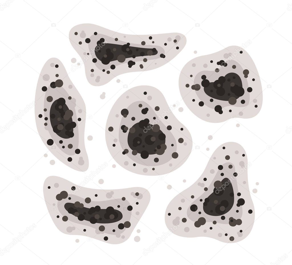 Black mold spots of different shapes. Toxic mold spores. Fungi and bacteria. Stains on the house wall. Isolated vector illustration on white background