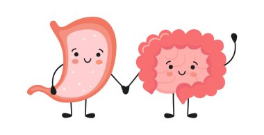 Healthy happy smiling stomach and intestine characters hold hands. Symbol of stomach and intestine health. Vector isolated illustration in flat and cartoon style on white background