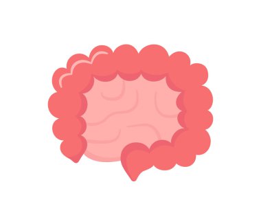 İnce ve kalın bağırsak. Gastrointestinal bölgede insan iç organı. Soyut bağırsak. Vektör illüstrasyonu beyaz arkaplanda izole edildi