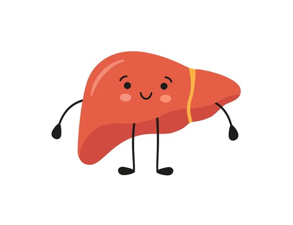 Saludable feliz sonriente lindo personaje de hígado. Ilustración vectorial — Archivo Imágenes Vectoriales