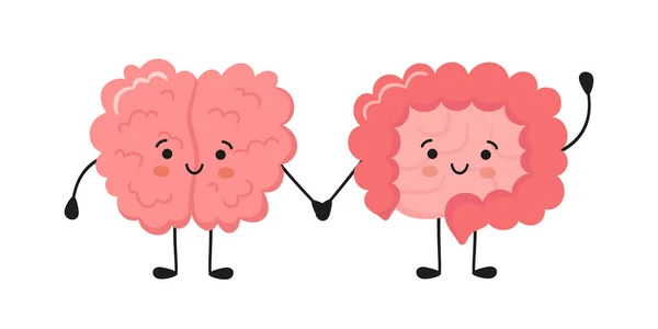 かわいい幸せな人間の脳と面白い腸の文字。腸と脳とのコミュニケーションの手描きのシンボル。白地に隔離されたベクトル漫画イラスト — ストックベクタ