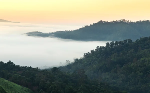 Manhã cedo com nevoeiro do alto da colina no ponto de vista de Yun Lai, pai, Tailândia — Fotografia de Stock