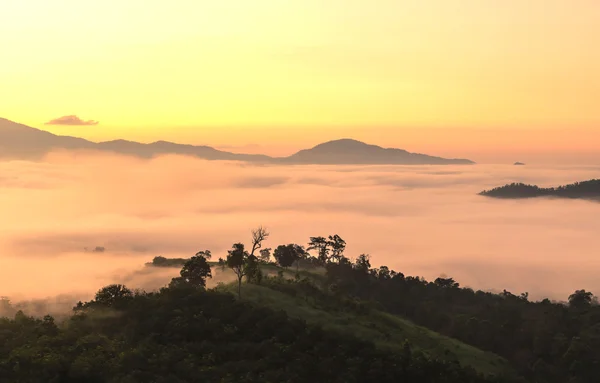 Névoa da manhã no topo da colina durante o nascer do sol nebuloso — Fotografia de Stock