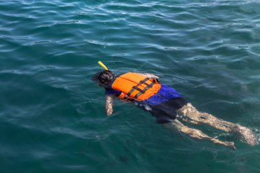 Zevk almak turistler snorkeling phi phi Islands, Tayland