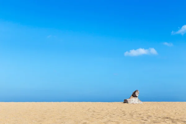 열 대 해변과 푸른 바다 푸른 하늘 배경 — 스톡 사진