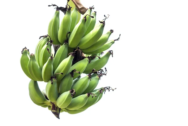 Verse tros bananen — Stockfoto