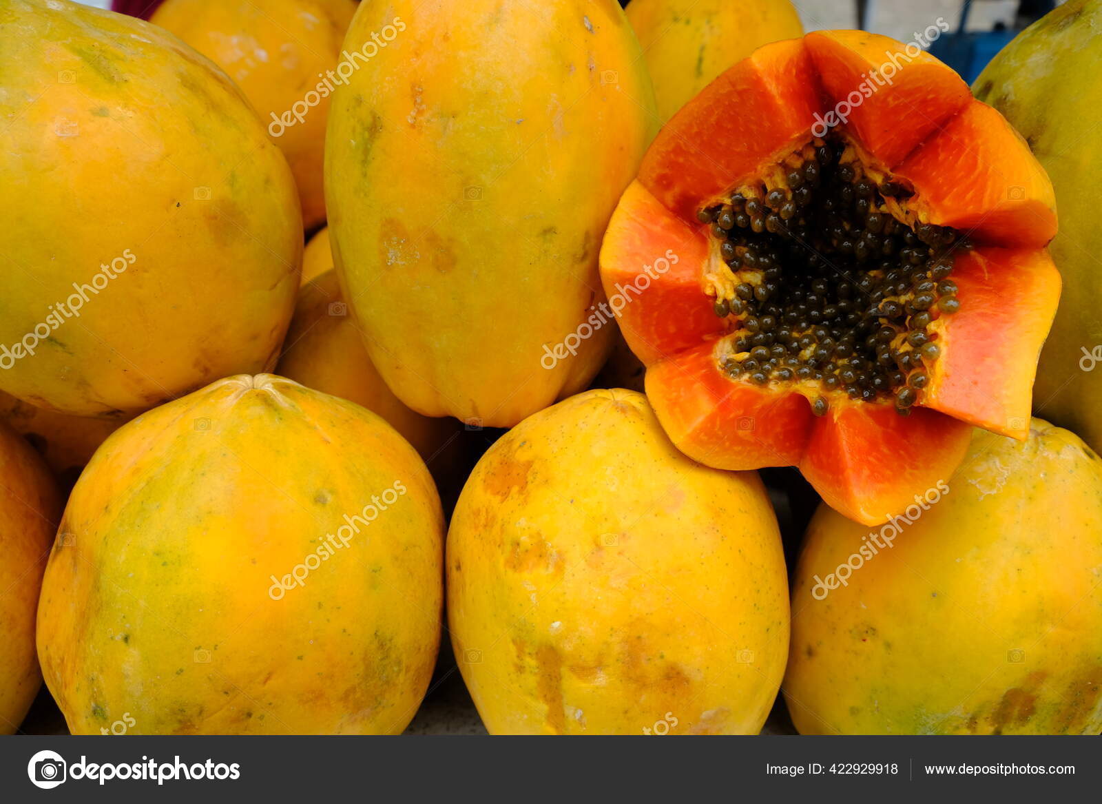 La papaya Stock Photos, Royalty Free La papaya Images | Depositphotos La papaya Stock Photos, Royalty Free La papaya Images | Depositphotos