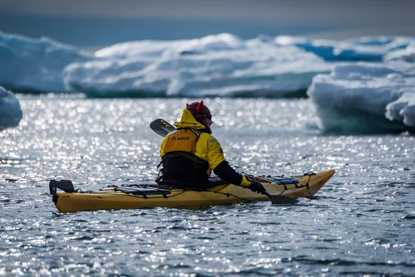 Kayakiste rétroéclairé pagayant au-delà des icebergs au soleil — Photo