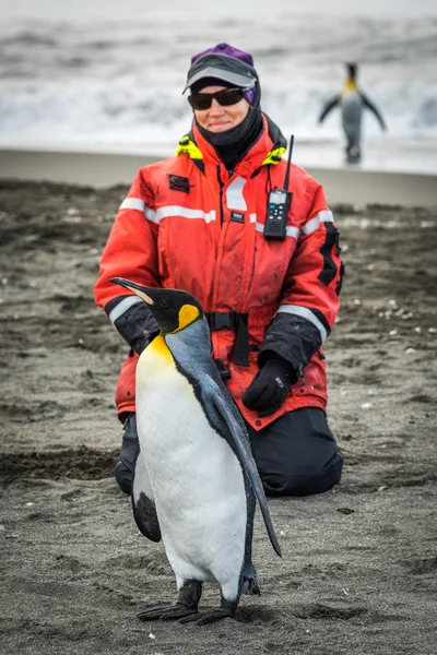 Žena klečí na pláži vedle krále tučňák — Stock fotografie