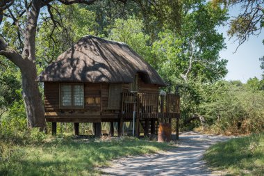 Ahşap yazlık thatched çatı ile Stilts
