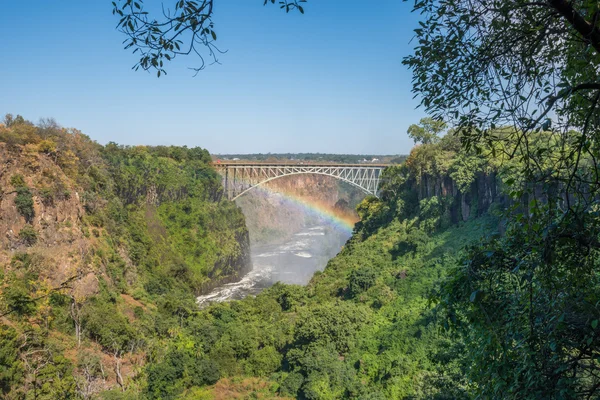 Ουράνιο τόξο που εκτείνεται κάτω από την γέφυρα Victoria Falls το φαράγγι — Φωτογραφία Αρχείου